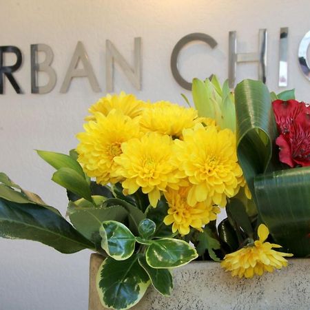 Urban Chic Boutique Hotel & Cafe Cape Town Exterior photo